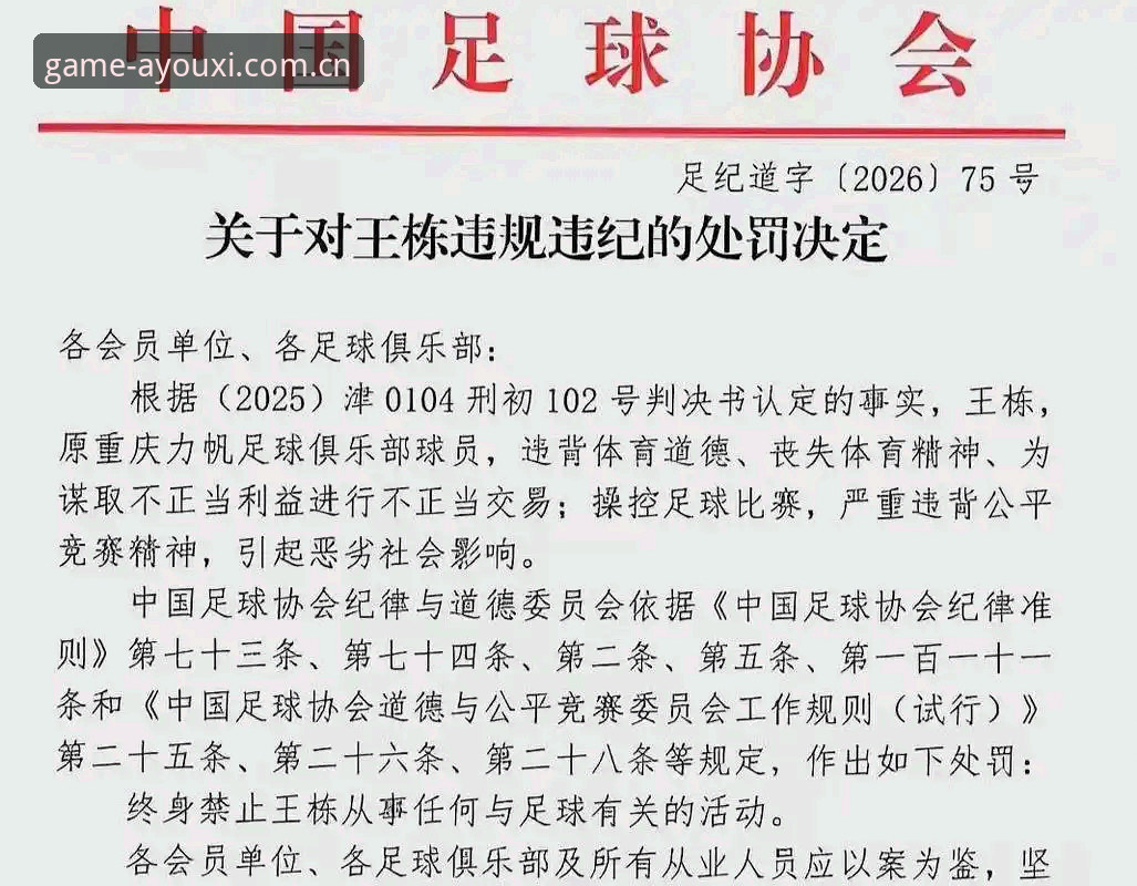 爱游戏活动福利 中国足协第三批禁足名单最新动态:17人终身禁足,行业整顿再升级